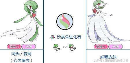 口袋妖怪xy有mega进化吗,口袋妖怪xymega进化图