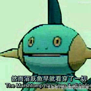 口袋妖怪xy有mega进化吗,口袋妖怪xymega进化图