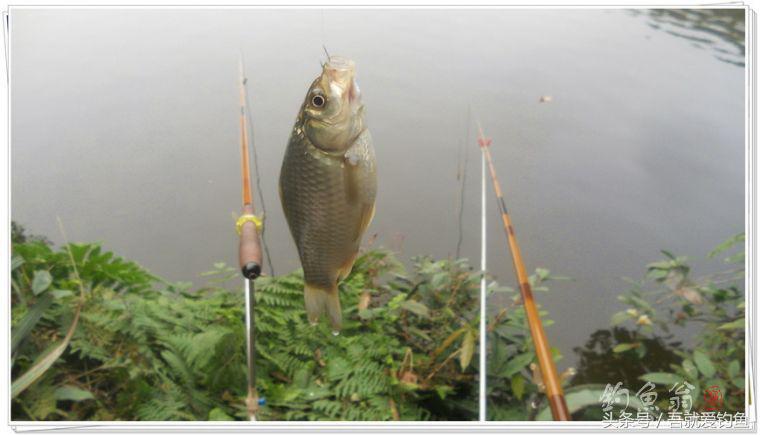 两钓一闲水凑成一个发