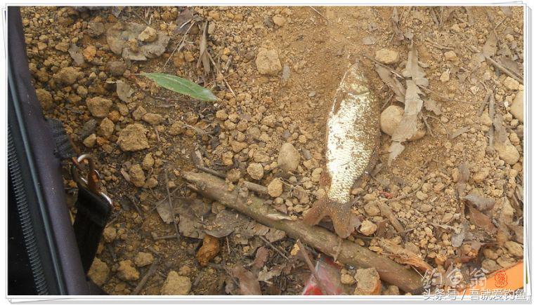 两钓一闲水凑成一个发