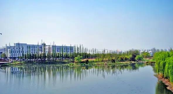 郫县豆瓣现状,郫县豆瓣有什么特别之处