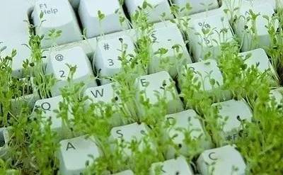 我心素已闲原文,我心素已闲清川澹如此是什么意思