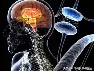 预防大脑衰老的食物,大脑30岁开始衰老真的吗