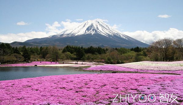 国内为什么很少有日本手机,你身边有人用三星手机吗
