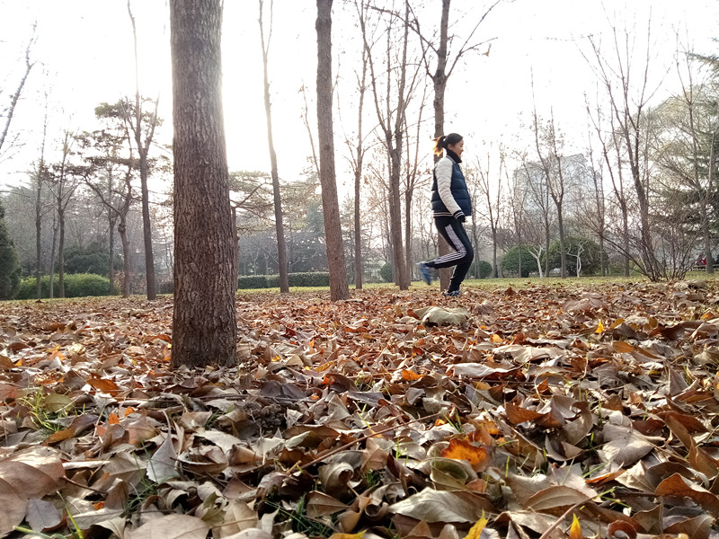 华为千元机推荐618,华为畅享6好吗