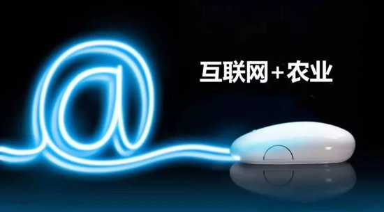 怎样做农产品电商从零开始,农产品电商十大最赚钱的运营模式