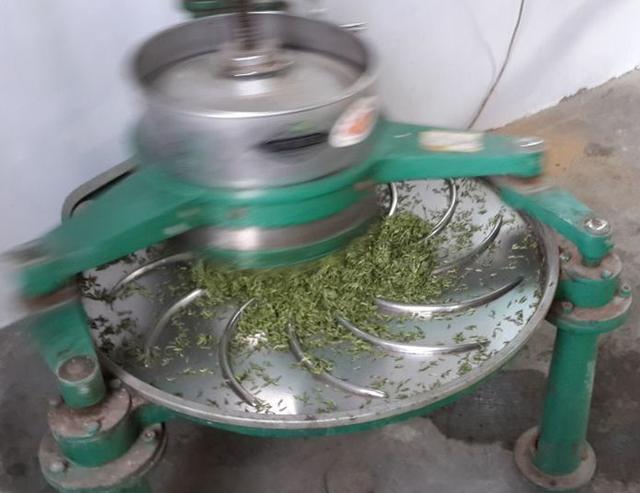 信阳毛尖制作全过程图,信阳毛尖的制作过程