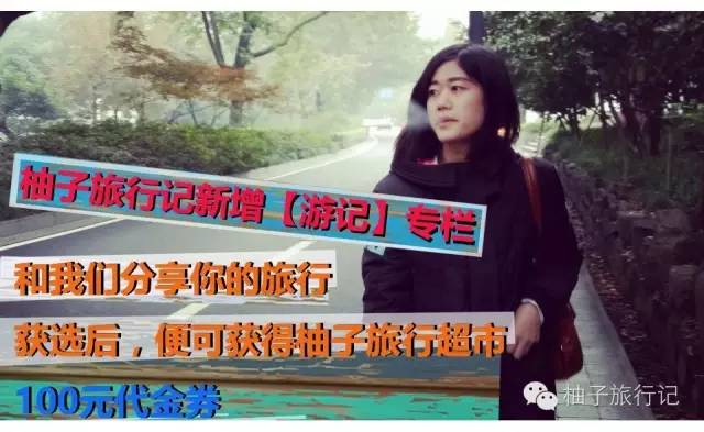 樱花旅行记全集视频,樱花季日本14天旅游攻略