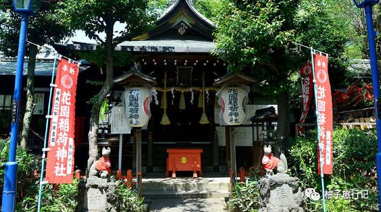 樱花旅行记全集视频,樱花季日本14天旅游攻略