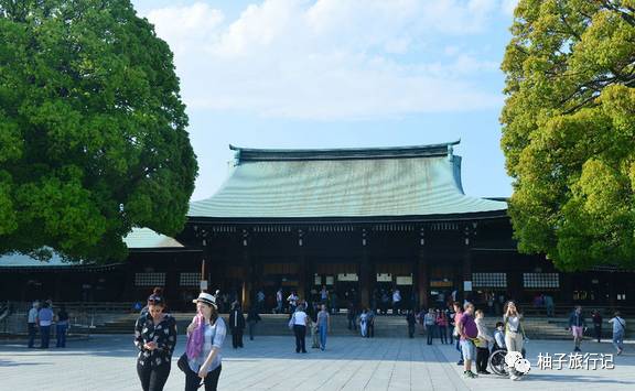 樱花旅行记全集视频,樱花季日本14天旅游攻略