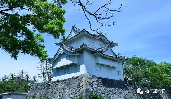 樱花旅行记全集视频,樱花季日本14天旅游攻略