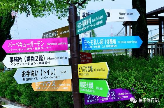 樱花旅行记全集视频,樱花季日本14天旅游攻略