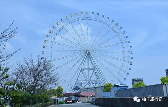 樱花旅行记全集视频,樱花季日本14天旅游攻略