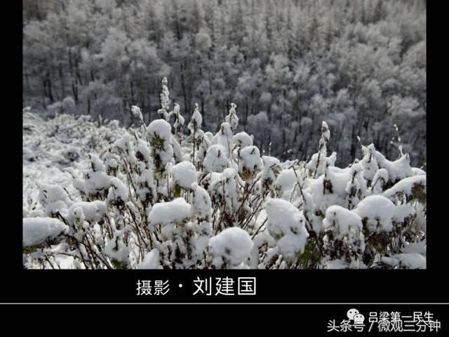 岚县野鸡山位于哪里,山西吕梁山雪景图片