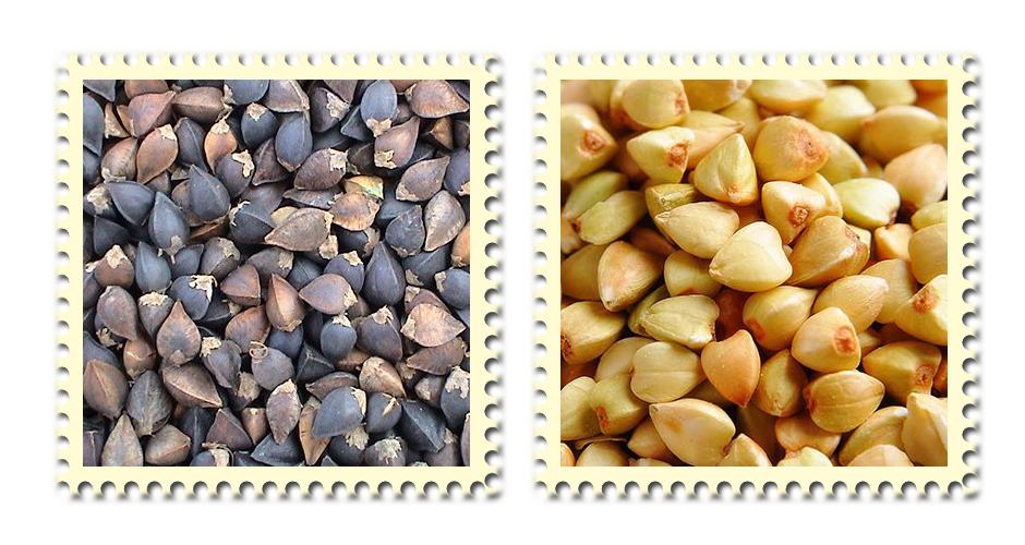 全株苦荞茶有贵有便宜,最好的苦荞茶价格表