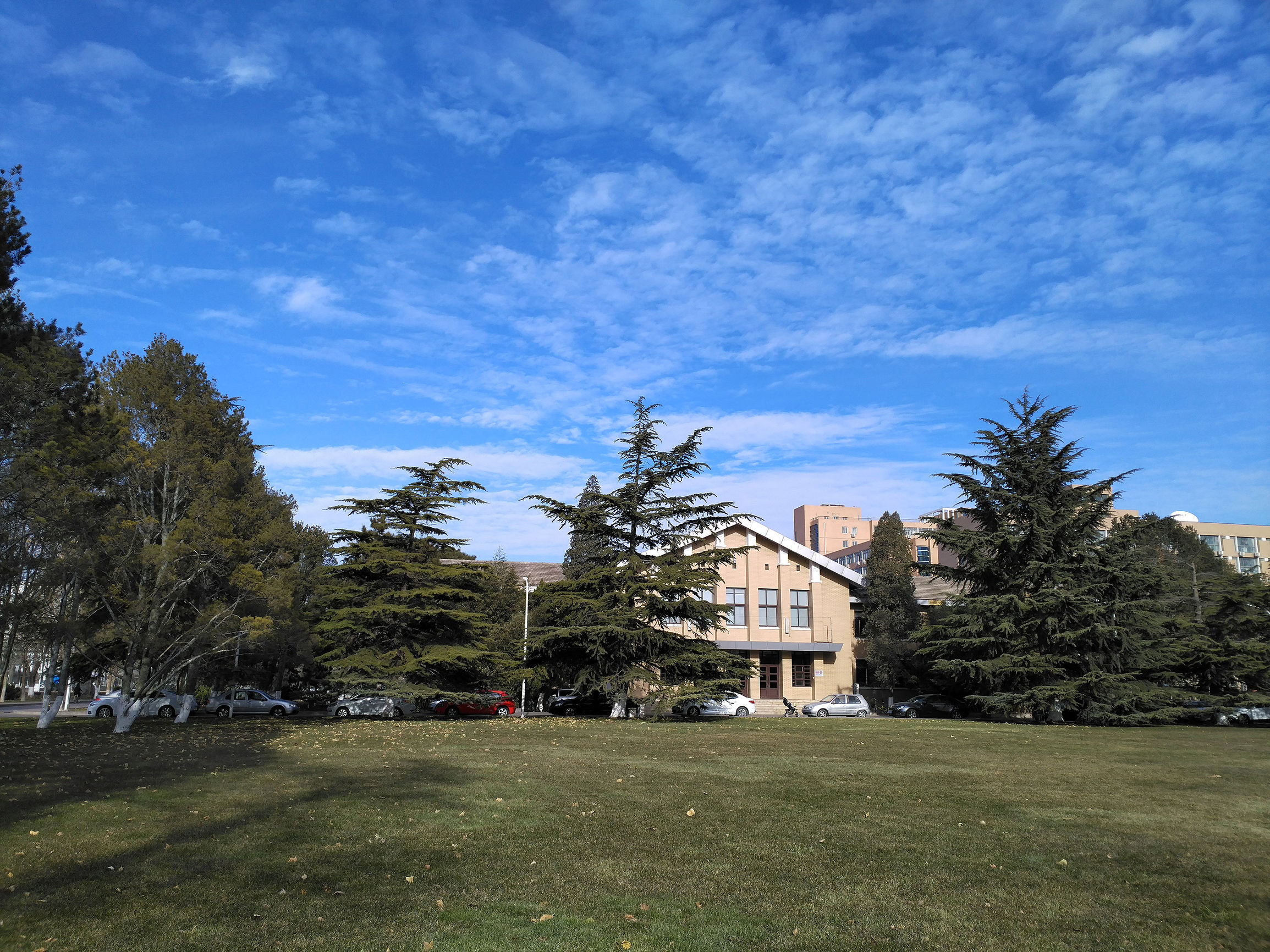 锤子m1l手机测评,锤子m1l有哪些功能