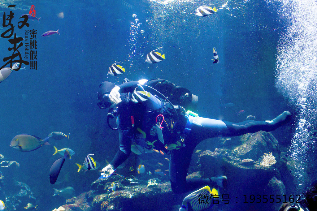 潜水24小时能坐飞机吗,潜水后多久才可以采耳