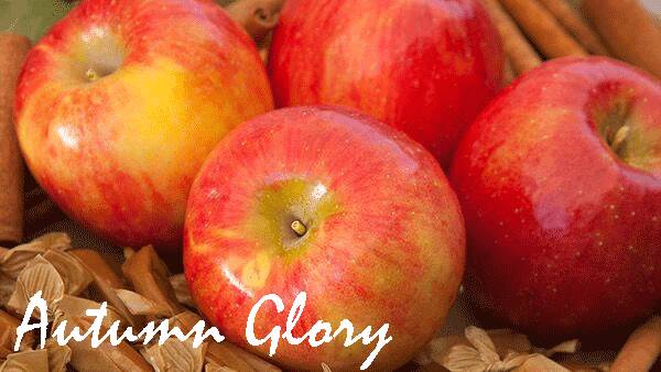 为什么说一日一苹果,一日一个苹果好处