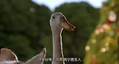 圣诞不知去哪，不如在家看这6部素食电影