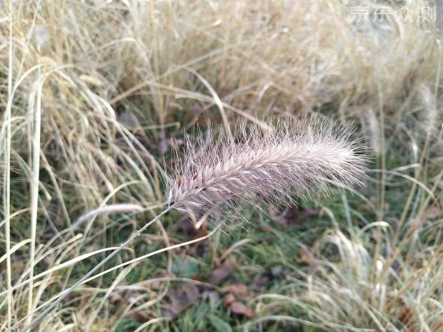 vivox9测评体验,vivox9测评视频