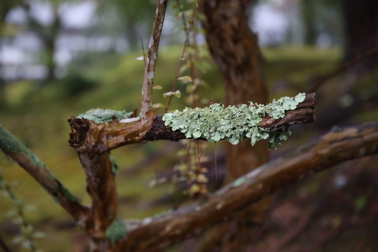 日本关西温泉圣地,日本关西房间内温泉