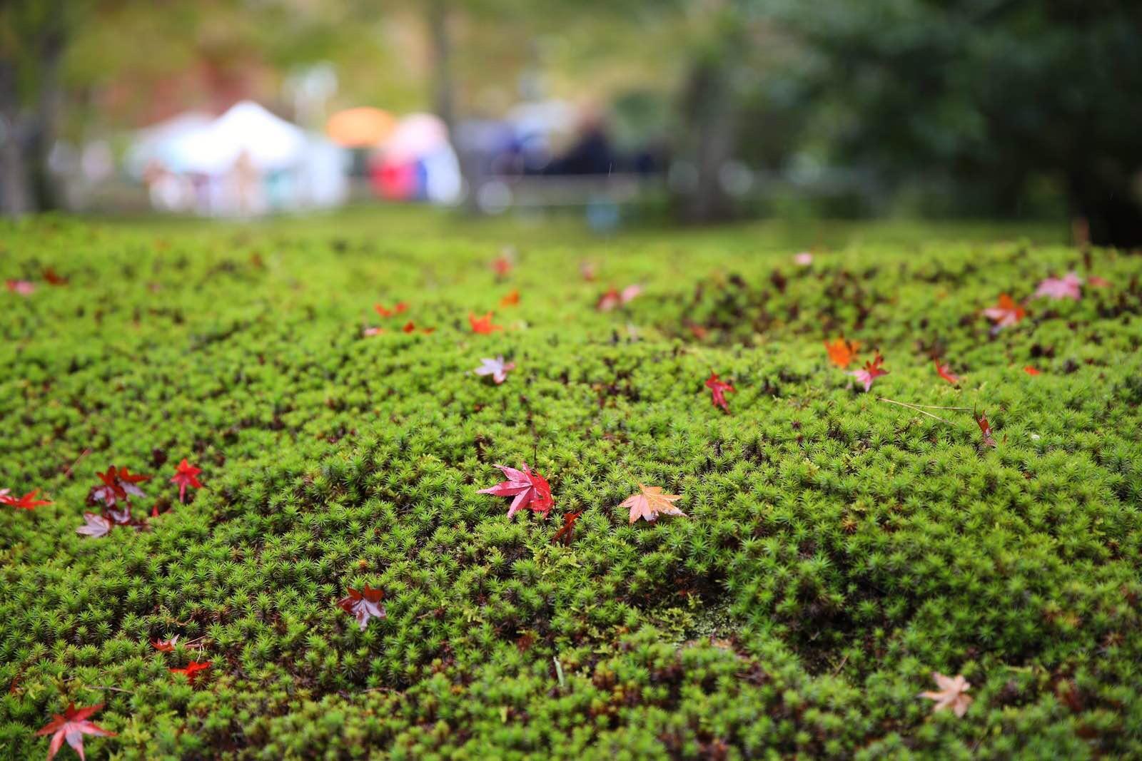 日本关西温泉圣地,日本关西房间内温泉