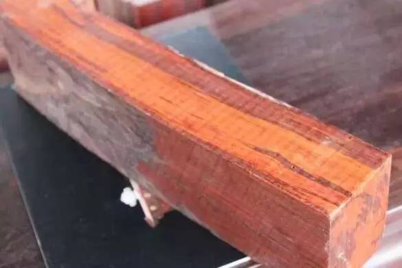 真正的紫檀树,真正的紫檀木材