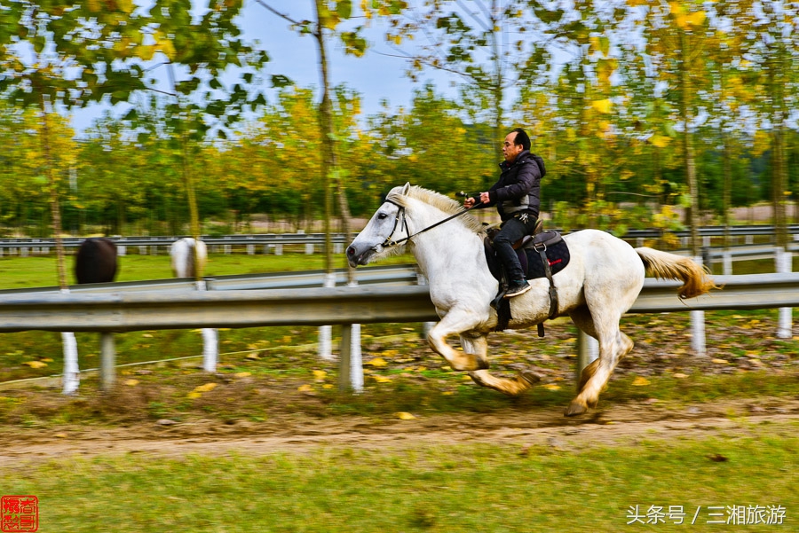 株洲5000亩农庄,株洲附近休闲农庄推荐