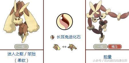 口袋妖怪xy有mega进化吗,口袋妖怪xymega进化图