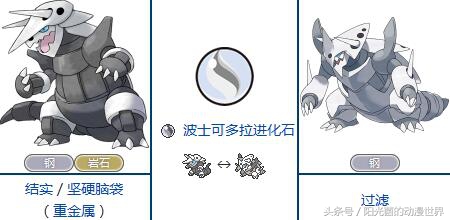 口袋妖怪xy有mega进化吗,口袋妖怪xymega进化图