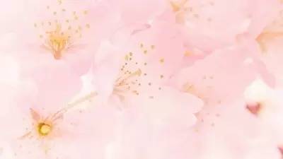 我心素已闲原文,我心素已闲清川澹如此是什么意思