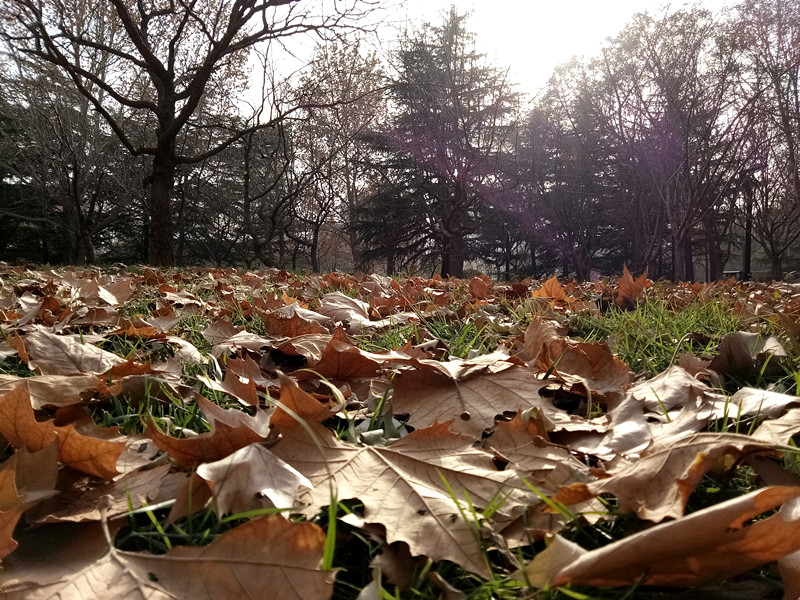 华为千元机推荐618,华为畅享6好吗