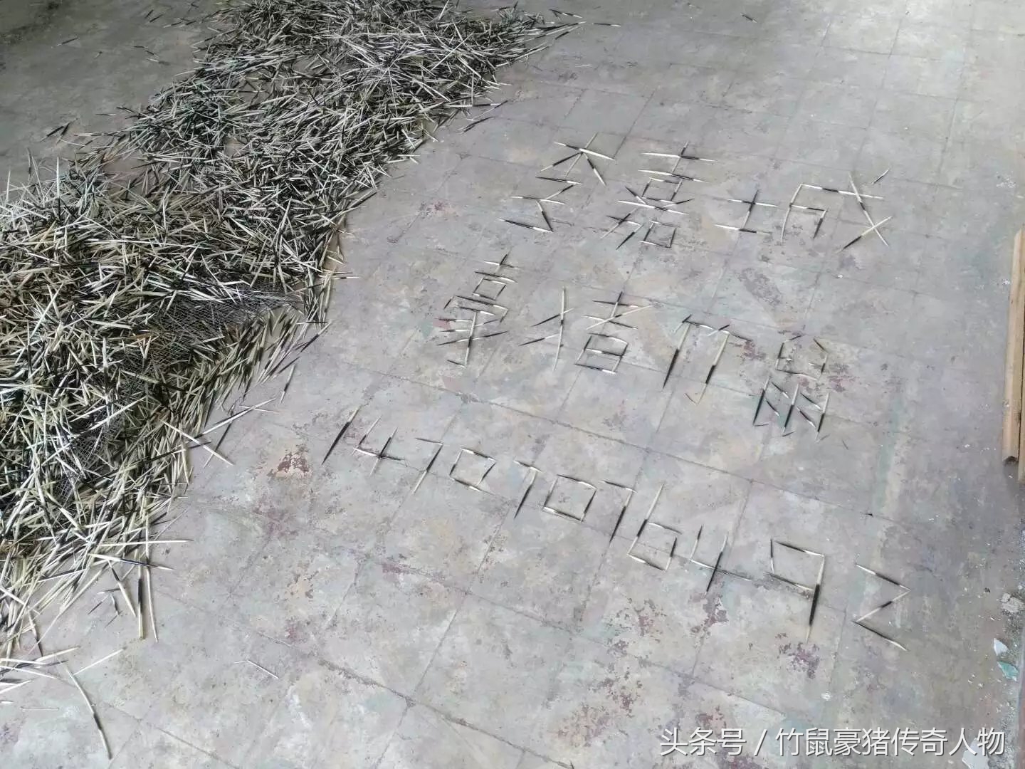 办理野生动物繁育许可证流程,怎么申请野生动物经营许可证