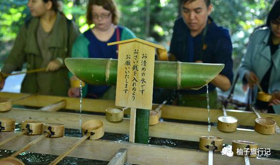 樱花旅行记全集视频,樱花季日本14天旅游攻略
