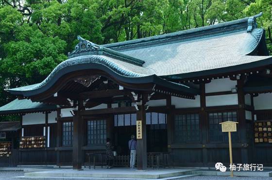 樱花旅行记全集视频,樱花季日本14天旅游攻略