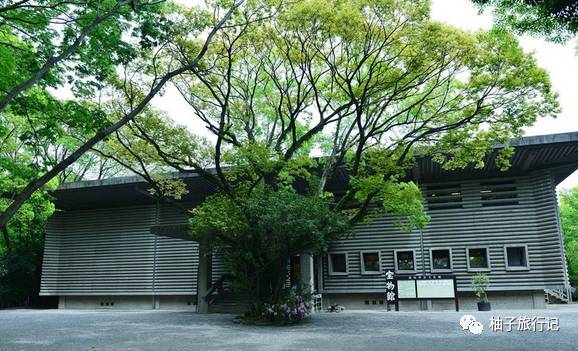 樱花旅行记全集视频,樱花季日本14天旅游攻略