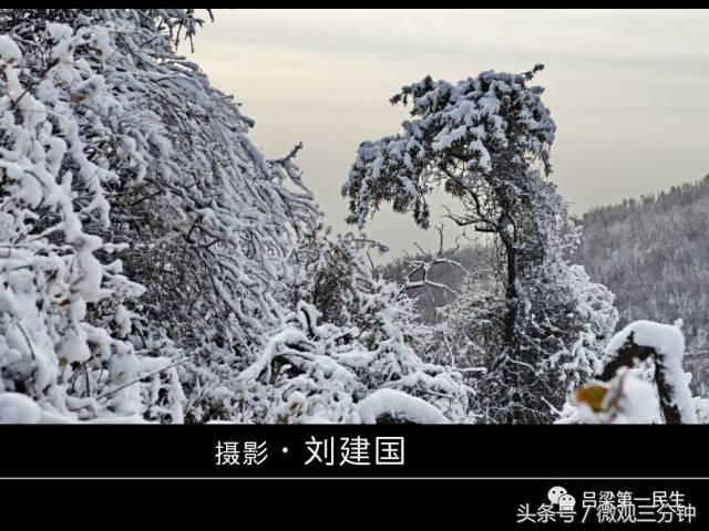 岚县野鸡山位于哪里,山西吕梁山雪景图片