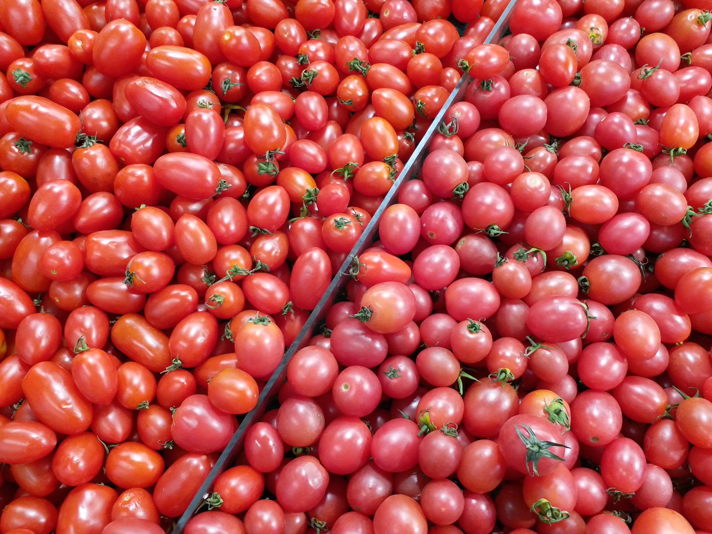 巨屏三星手机,三星c9pro用了7年了