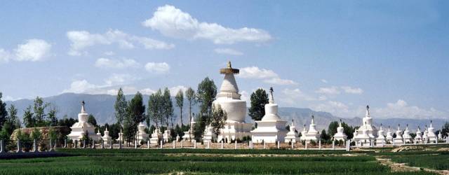 各个省份选美大赛,甘肃选美大赛冠军