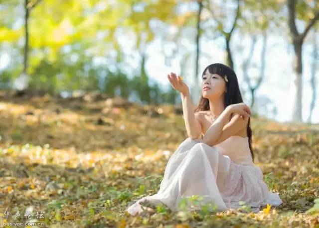 各个省份选美大赛,甘肃选美大赛冠军