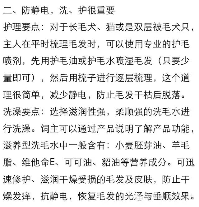 狗狗剪指甲总流血止不住怎么办,狗狗剪指甲流血沾了水怎么办