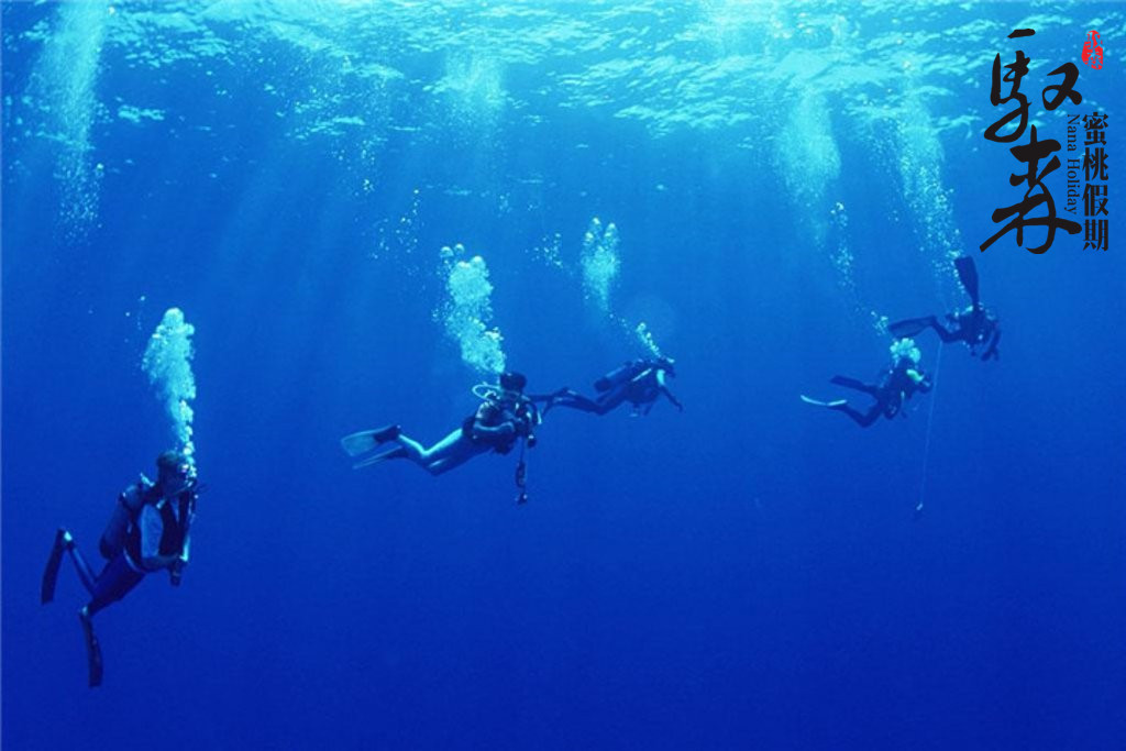 潜水24小时能坐飞机吗,潜水后多久才可以采耳