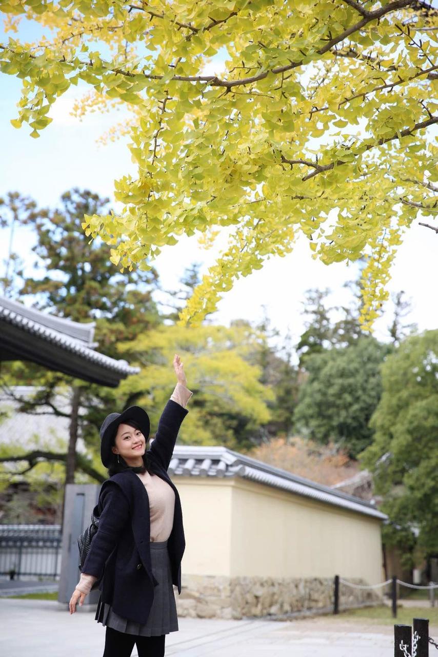 日本关西温泉圣地,日本关西房间内温泉