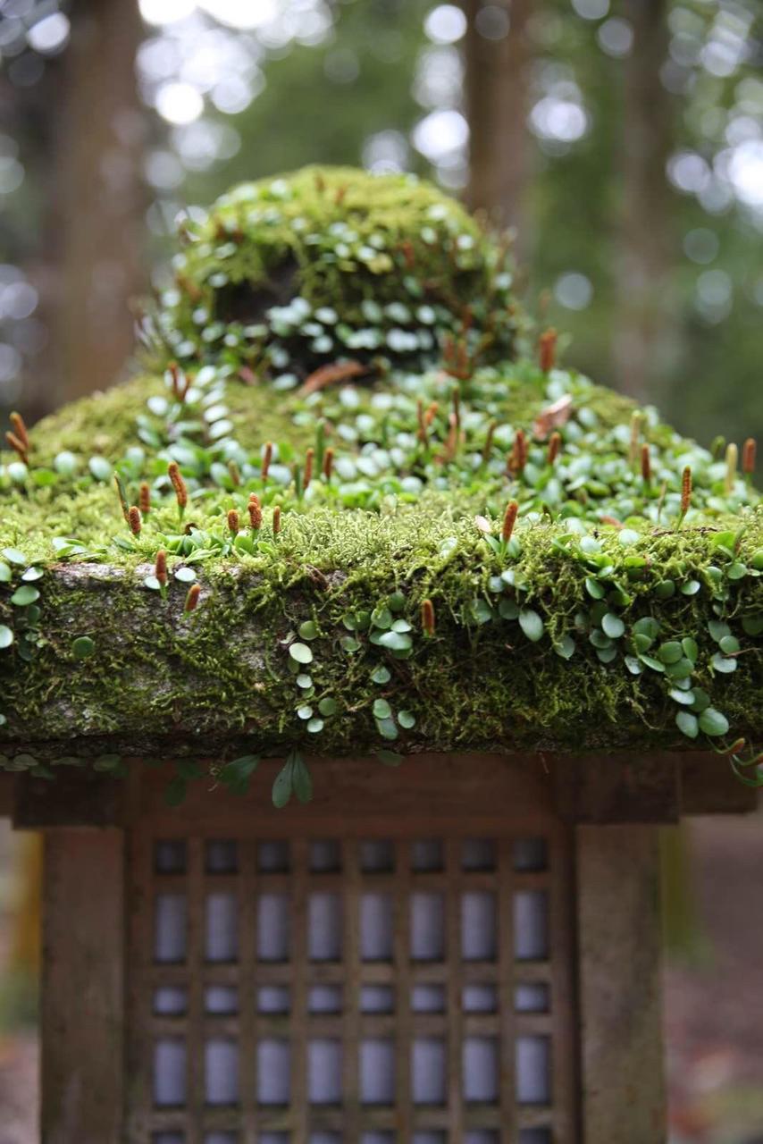 日本关西温泉圣地,日本关西房间内温泉