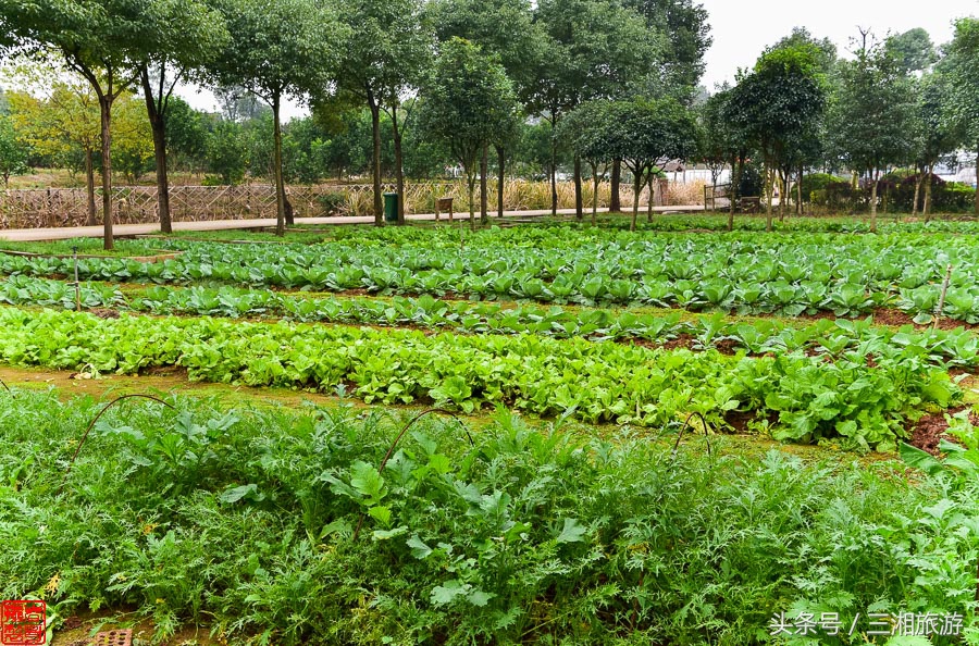 株洲5000亩农庄,株洲附近休闲农庄推荐