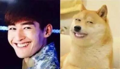 你没见过的搞笑表情包,你没见过世面表情包