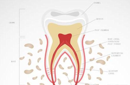 怀孕期间各种不舒服该怎么办？缓解孕期不适的绝招都在这里！