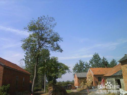 城里人到农村生活需要注意什么?农村信用社个人网上银行怎么开通