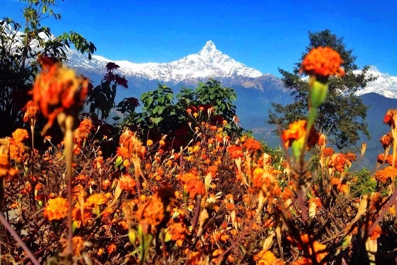 用双脚丈量山林,用双脚丈量冰川世界