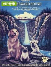 推荐给幼儿看的十部电影,推荐给孩子的10部动画片电影